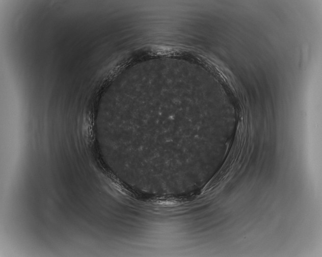 X0000116870653200912221406