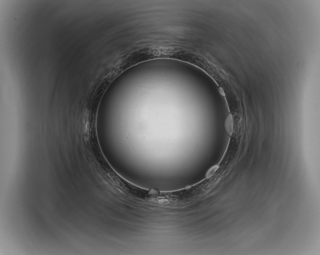 X0000116870655200912221406