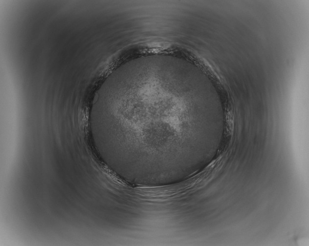 X0000116870657200912221407