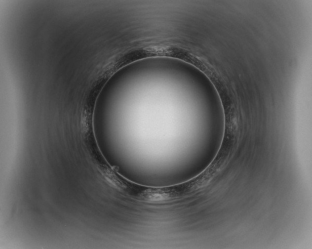 X0000116870658200912221407