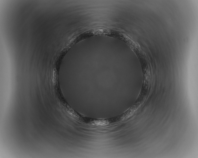 X0000116870659200912221407
