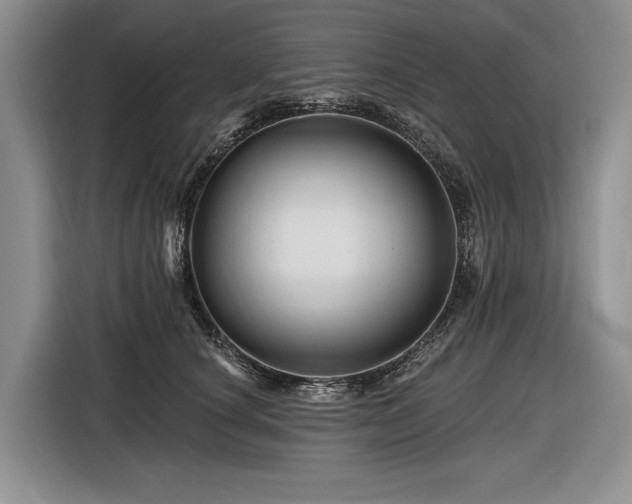 X0000116870660200912221407