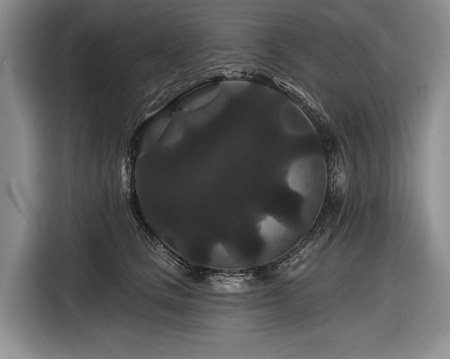 X0000116870661200912221407