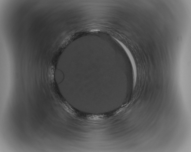 X0000116870664200912221407