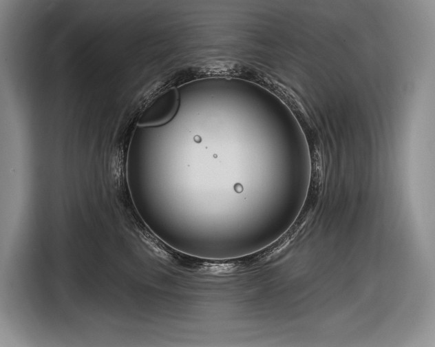 X0000116870665200912221407