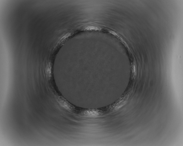 X0000116870668200912221407
