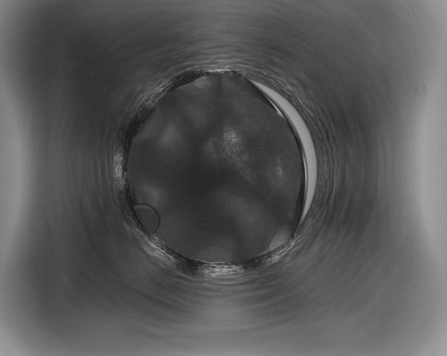 X0000116870670200912221407