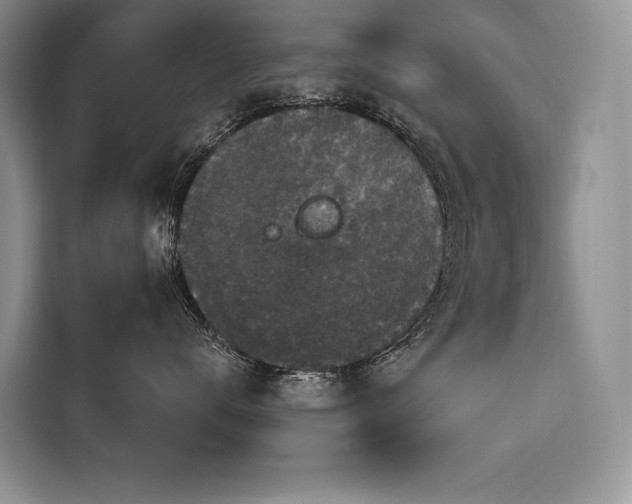 X0000116870672200912221407