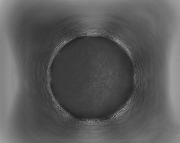 X0000116870673200912221406