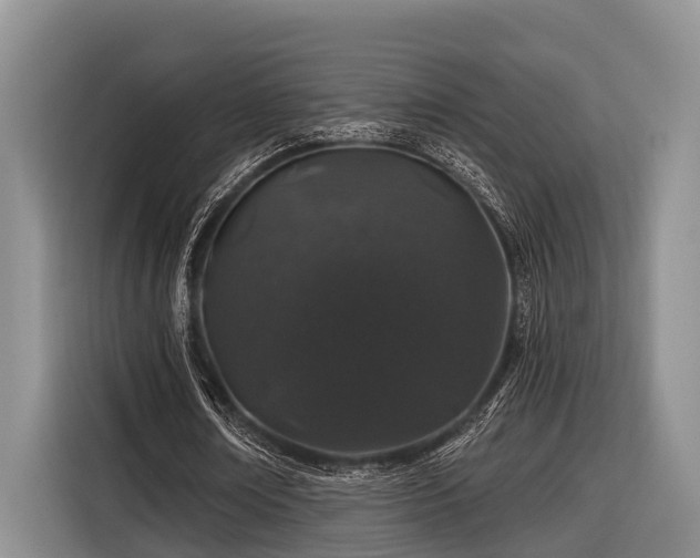 X0000116870674200912221406