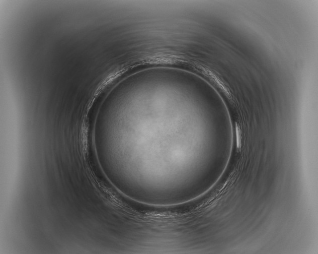 X0000116870675200912221406