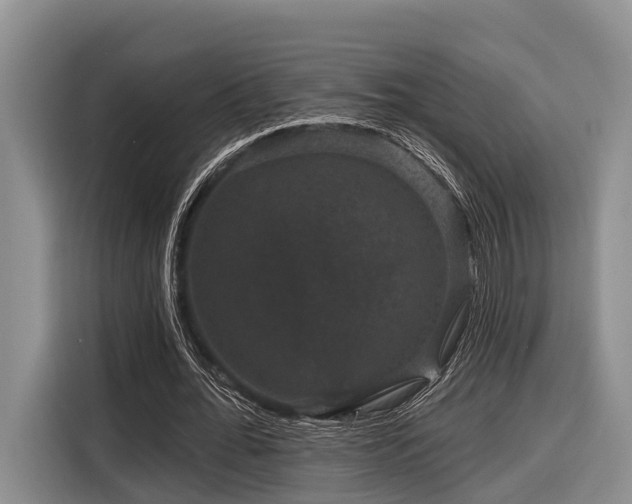 X0000116870676200912221406