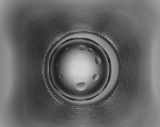 X0000116870677200912221406