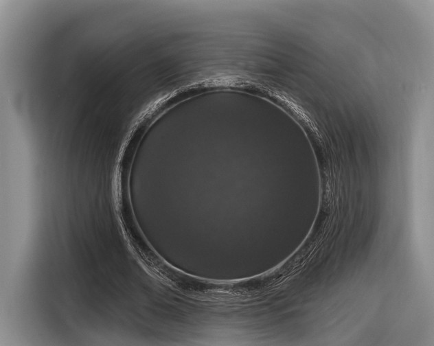 X0000116870678200912221406