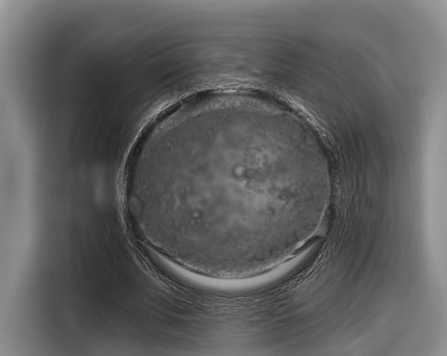 X0000116870679200912221406