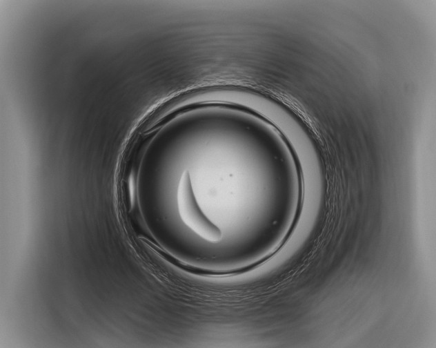 X0000116870680200912221406