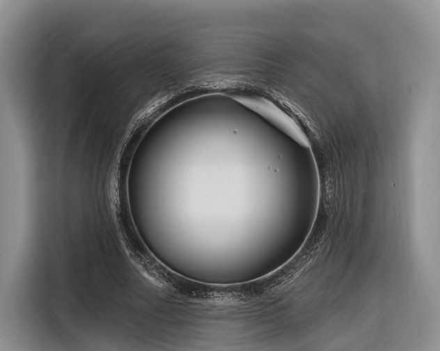 X0000116870682200912221406