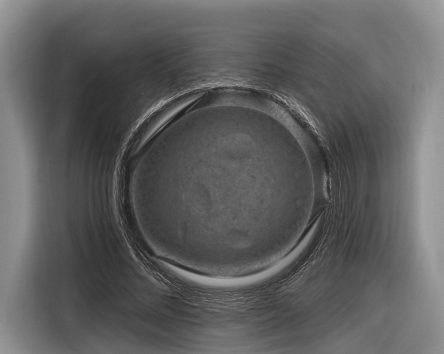 X0000116870684200912221406