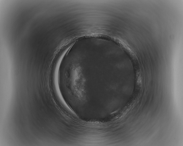 X0000116870685200912221406