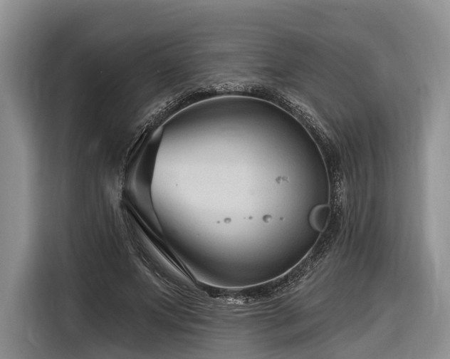 X0000116870687200912221406