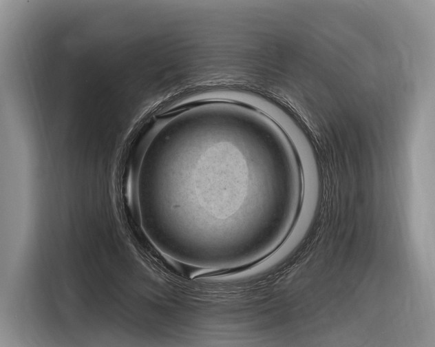 X0000116870688200912221406