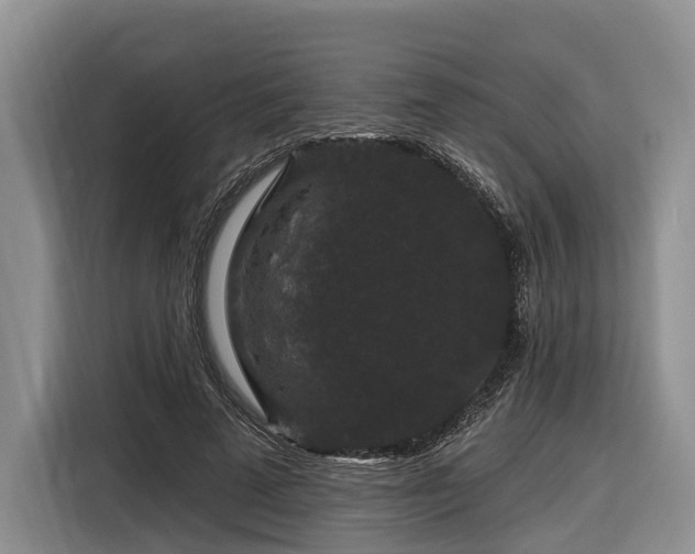 X0000116870689200912221406