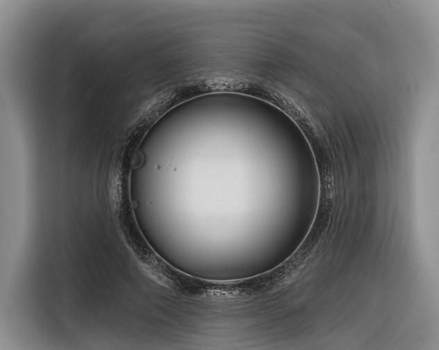 X0000116870690200912221406