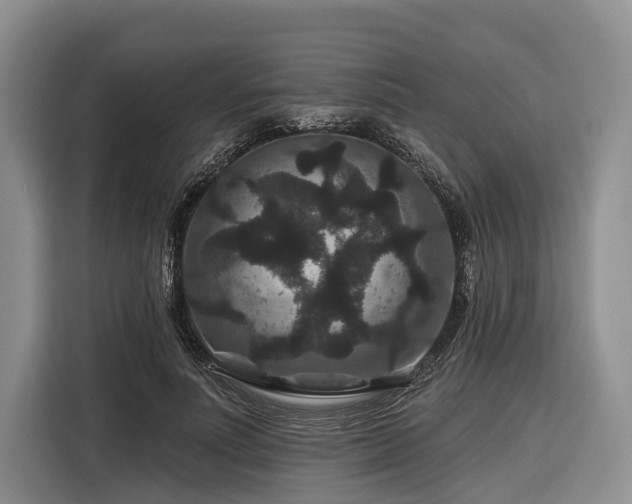 X0000116870691200912221406