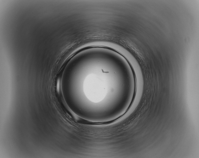 X0000116870692200912221406
