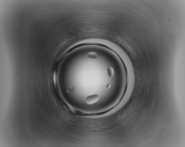 X0000116870693200912221406