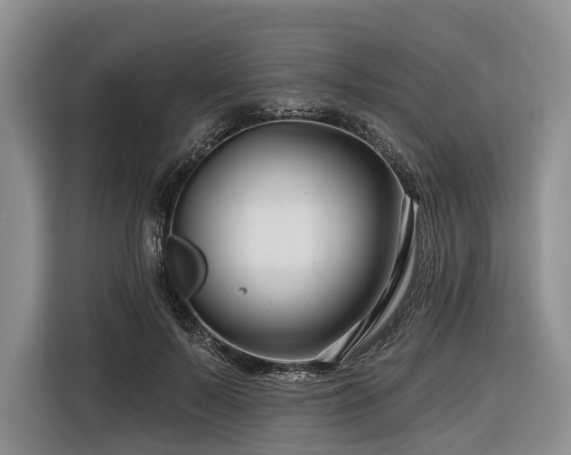 X0000116870695200912221406