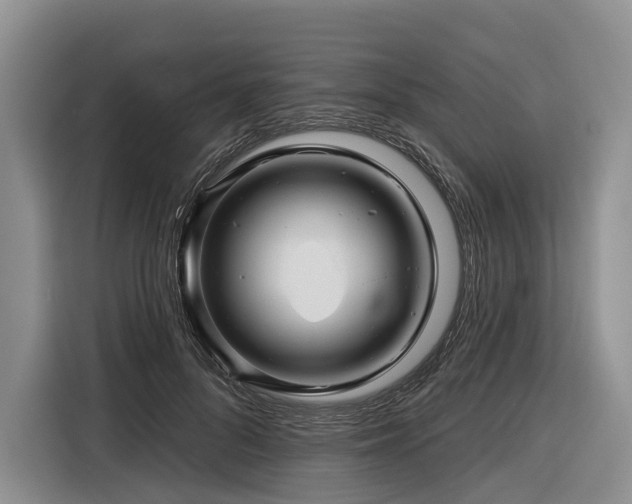 X0000116870696200912221406