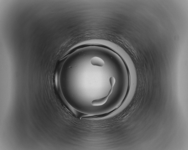 X0000116870697200912221406