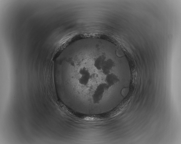 X0000116870699200912221406