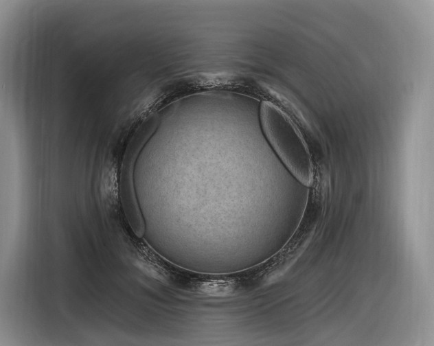 X0000116870700200912221406