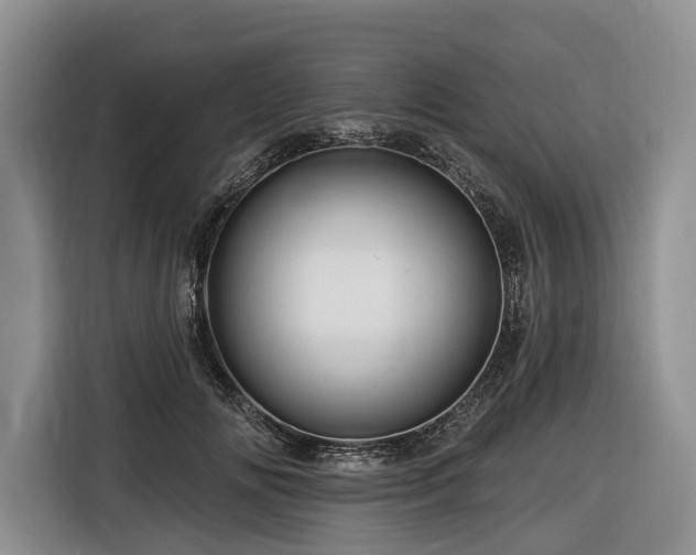 X0000116870702200912221406