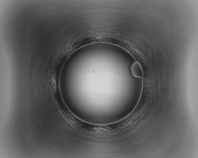X0000116870703200912221406