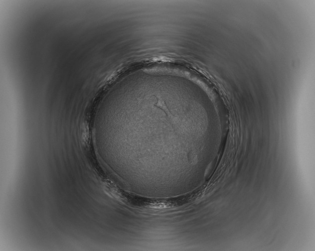 X0000116870704200912221406