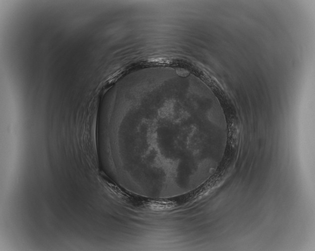 X0000116870707200912221406