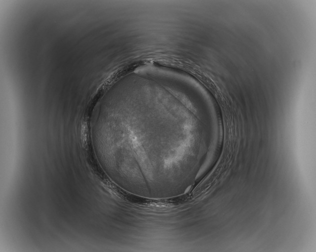 X0000116870708200912221406