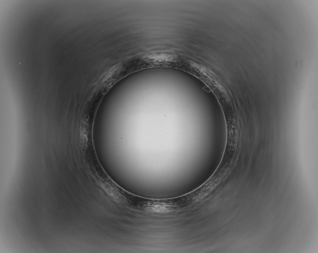 X0000116870710200912221406
