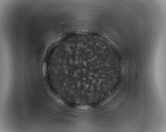 X0000116870711200912221406