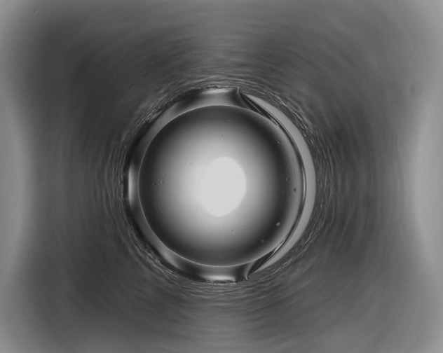 X0000116870713200912221406