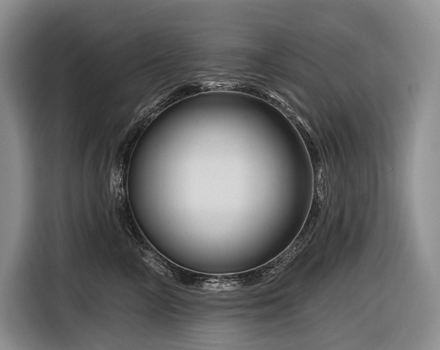 X0000116870714200912221406