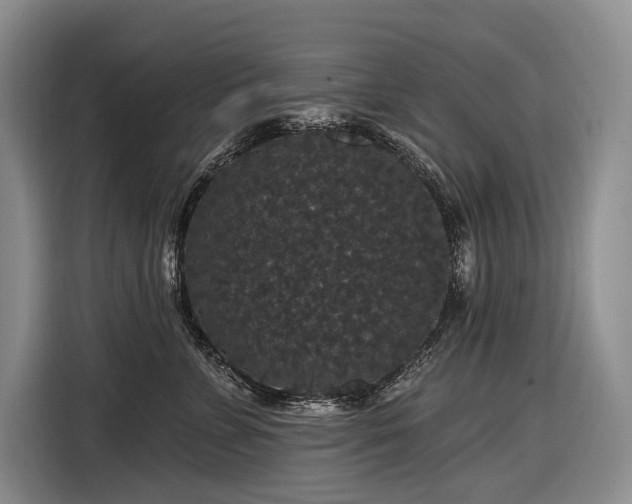X0000116870715200912221406