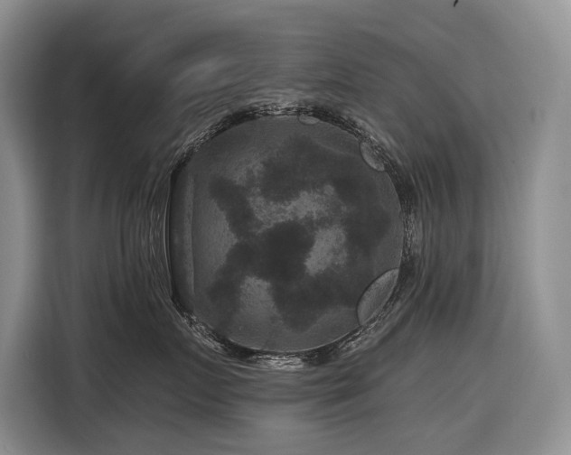 X0000116870719200912221406