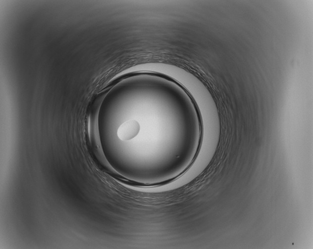 X0000116870720200912221405
