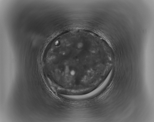 X0000116870721200912221405