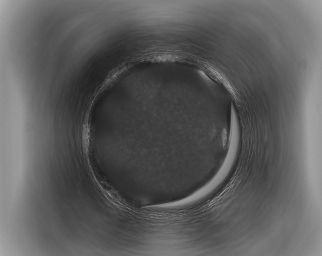 X0000116870722200912221405