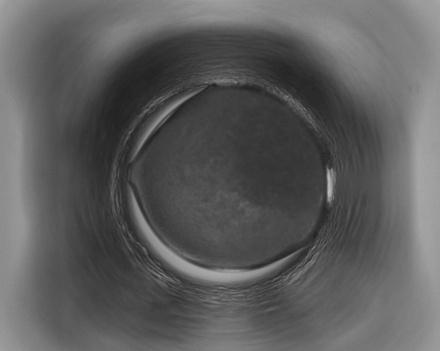 X0000116870723200912221405
